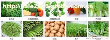 東莞市塘廈送菜公司 新鮮蔬菜批發(fā)與配送一站式服務(wù)
